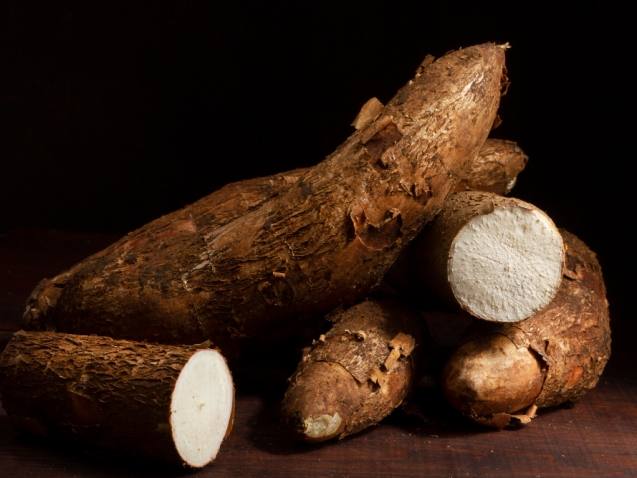 The Ultimate Guide to Lucrative Cassava Farming